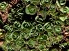 img_4776-edit-800a