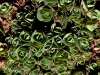 img_4776-edit-800a